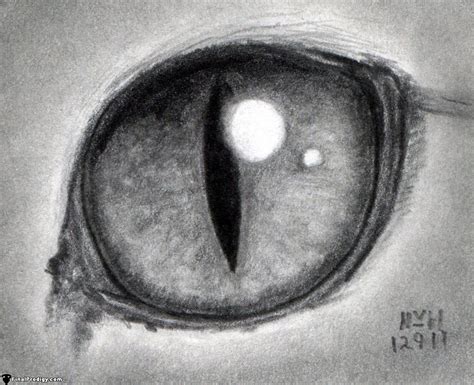 Maybe you would like to learn more about one of these? How to Draw a Cat Eye - FinalProdigy.com | Cat eyes ...