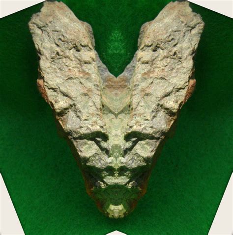 Pin by ShalemHooffs Facts on prehistoric three dimensional polymorphic