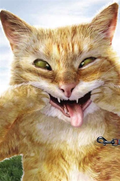 Unique designs on hard and soft cases and covers for iphone 12, se, 11, iphone xs, iphone x, iphone 8, & more. Funny Cat iPhone Wallpaper - WallpaperSafari
