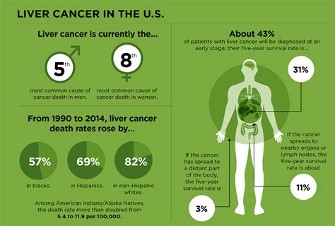 Liver Cancer Treatment Options