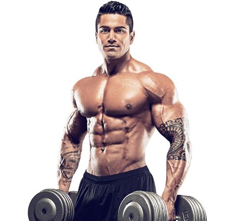 Bodybuilding Png Transparent Image Download Size 600x550px