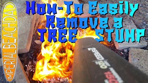 Easy Diy Tree Stump Removal A Simple How To Video Youtube