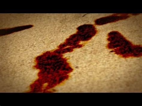 People watch a lot of video these days, so it's tough to stand out from the crowd. Horror Logo Reveal (After Effects Template) - YouTube