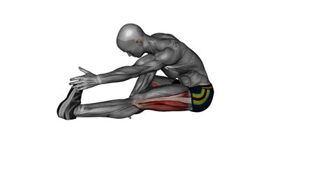 Mastering The Seated Single Leg Hamstring Stretch A Beginners Guide