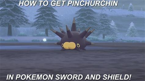 How To Get Pinchurchin In Pokemon Sword And Shield Youtube