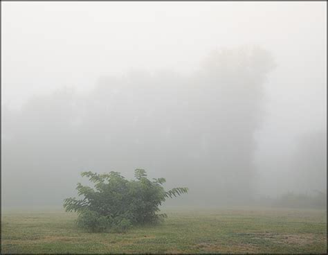 Thick Morning Fog Over A Vacant Lot In Fort Wayne Indiana Photograph