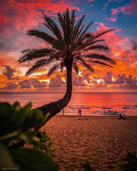 Magnificent Sunset 🌅 Sunsets Hawaii Beautiful Sunset Sunset Photos