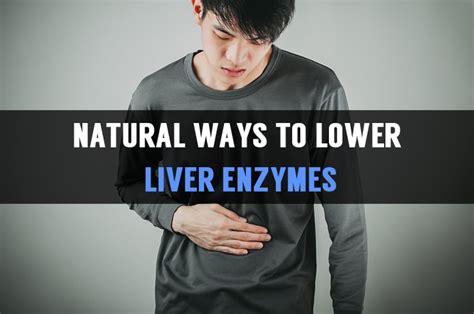 How To Lower Liver Enzymes Learn What Food Should Eat Or Avoid