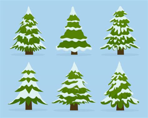 Snow Covered Pine Trees Stock Photos Pictures And Royalty Free Images