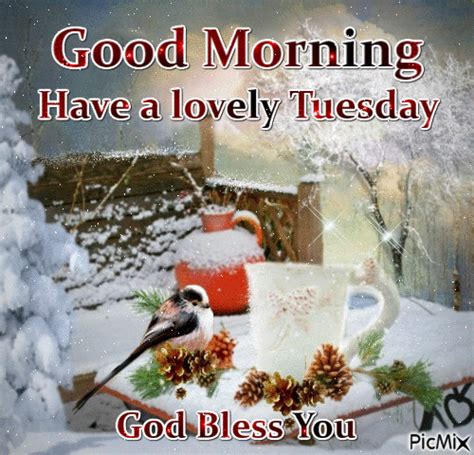 Lovely Tuesday Good Morning  Pictures Photos And Images For