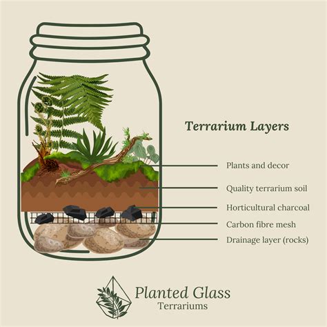 You Need These Layers In Your Terrarium Planted Glass Terrariums