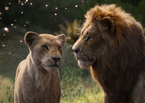 The Lion King Review Like The 1994 Film But Without The Magic Vox