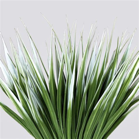 White Tipped Grass Stem Uv Resistant 35cm Deals101
