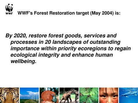 Ppt Forest Restoration Within A Landscapeecoregion Context