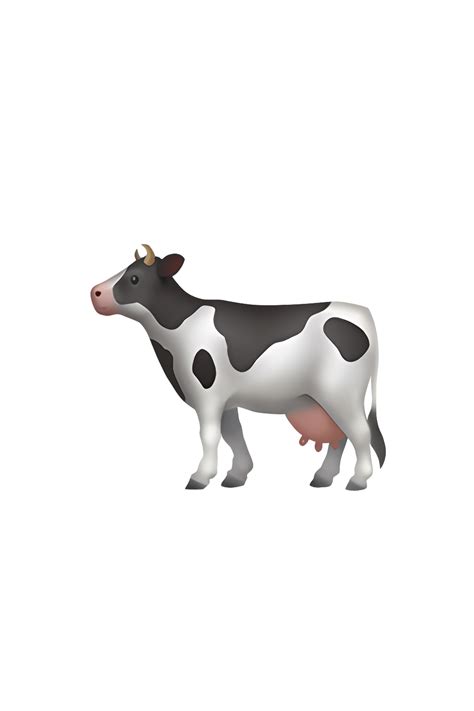 The Emoji 🐄 Depicts A Cartoonish Image Of A Cow Facing Forward It Has A White Body With Black