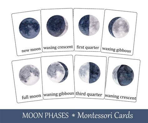 Moon Phases Flash Cards Montessori three part cards Etsy España