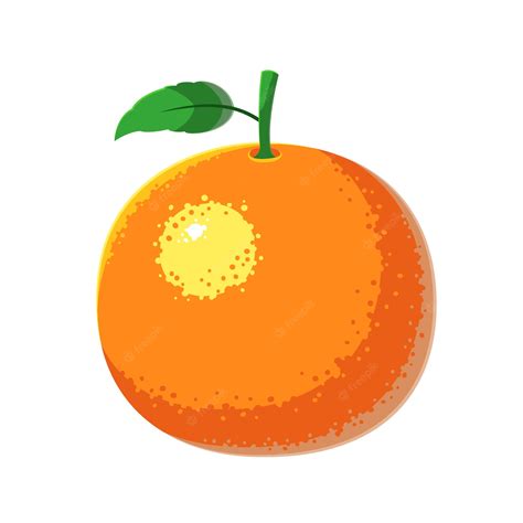 Vector De Fruta Naranja Vector Premium