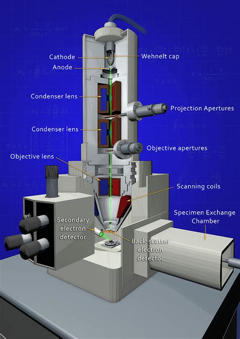 Scanning Electron Microscope Photograph By Karl Gaff Science Photo