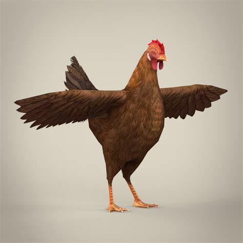 Game Ready Realistic Hen By Gamingarts 3docean