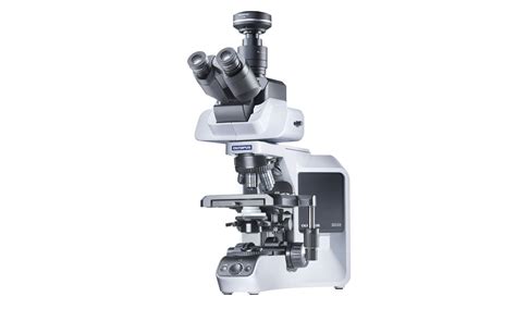 Microscopio Con Contraste De Fases Olympus Bx Minitube