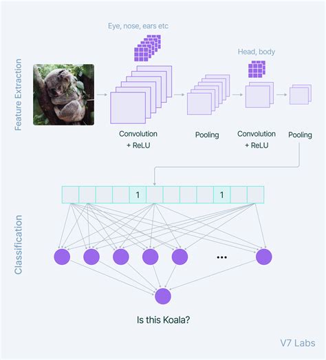 Convolutional Neural Networks Architectures Types Examples