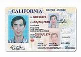 Photos of Study For My Drivers License