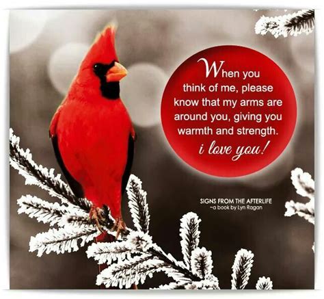 Pin By Julie Goodman On Inspirational Quotes Phrases Etc Red Birds
