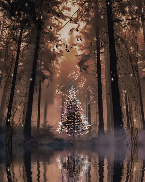 Pin By Nevaeh In Nirvana On Into The Woods Christmas Tree Forest