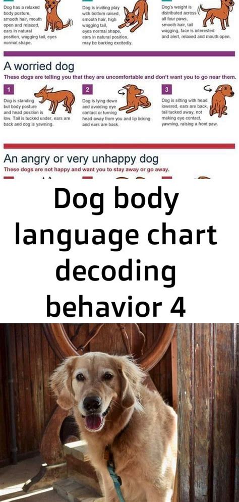 Dog Body Language Chart Decoding Behavior 4 Dog Body Language