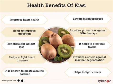 How To Make Kiwi Juice 5 Easy Step Process Juice And Juicer