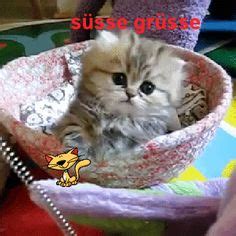Die 118 besten Bilder von animierte Gifs | Animierte gifs ...