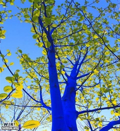Blue Tree Garden Deco Land Art Image Nature Social Art Colossal Art