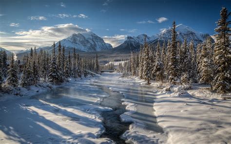 Tour Explore Rocky Mountains In Winter Visit Canada