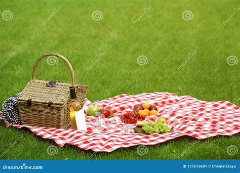 Picnic Basket With Fruits And Bottle Of Wine On Checkered Blanket Stock