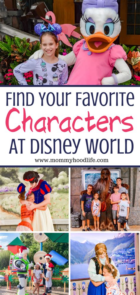 Character Meet And Greets At All Of The Walt Disney World Parks