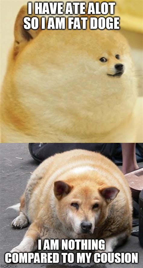 Image Tagged In Fat Dogfat Doge Wow Imgflip