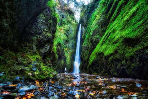 Oneonta Falls Oregon Usa Waterfalls Moss Crag Hd Wallpaper Rare