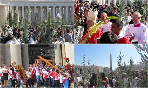 Palm Sunday Celebration Rome Italy Blog Archive Congregation Of