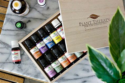 Brand Review High Quality Essential Oils By Plant Therapy Greenopedia