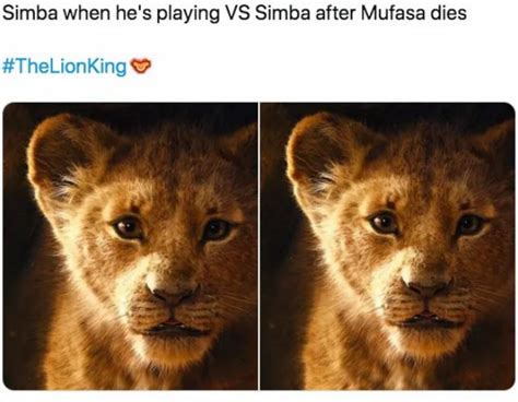 Take A Break And Just Enjoy 10 Great Memes About The Lion