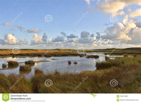 Salt Marsh Landscape Stock Photo Image Of Landform 100414050