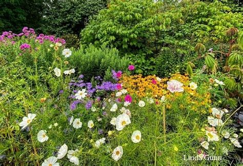 Before you buy a bouquet﻿, check out these flower meanings for popular blooms like roses, tulips, lilies, and peonies, to make sure you send the right message. Nymans Garden, near Crawley & places to stay - Great ...