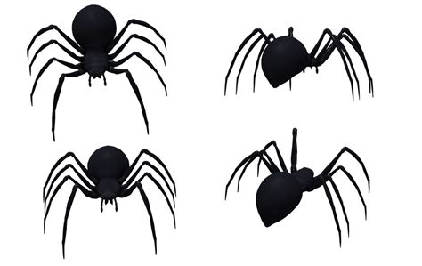 Black Widow Spider Set 02 By Free Stock By Wayne On Deviantart
