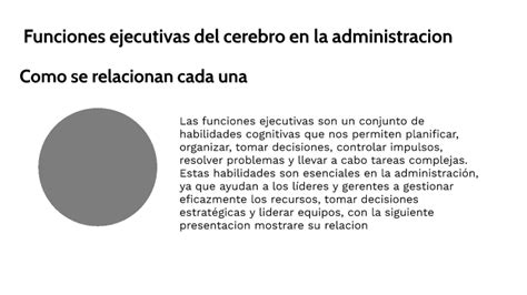 Funciones Ejecutivas Del Cerebro By William Rene Ochoa Riscanevo