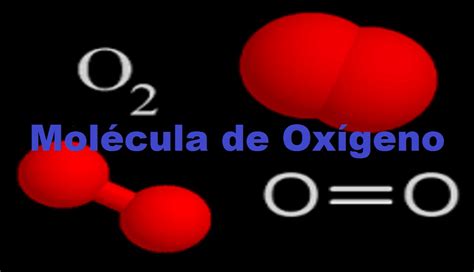 Determinacion De La Formula De La Molecula De Oxigeno Enlaces