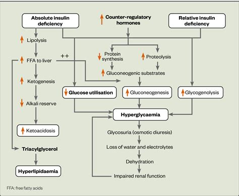 Diabetic Ketoacidosis Pathophysiology Diagram Diagram Resource My XXX