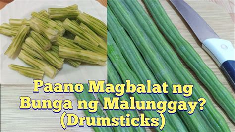 Paano Magbalat Ng Bunga Ng Malunggay How To Peel Moringa Drumstick