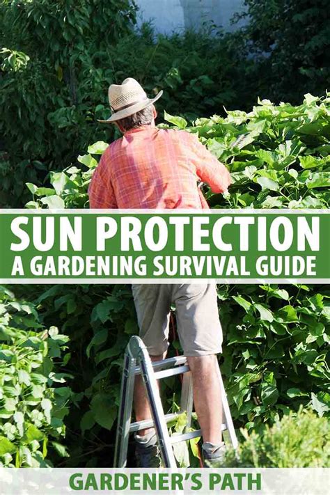 Sun Protection A Gardening Survival Guide Gardeners Path