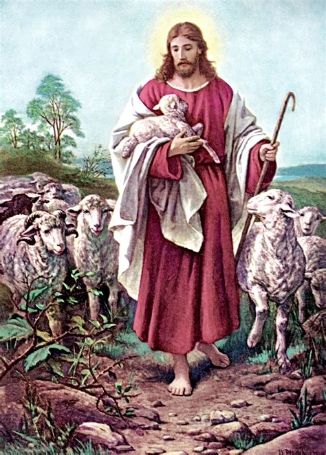 Jesus The Good Shepherd Free Stock Photo Public Domain Pictures
