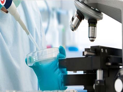 I don't need to make any. How to start a medical laboratory business - The Magazine